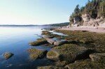 Camping in der Bretagne: Natur und Freizeit genießen. © spothits/Hemera Technologies/AbleStock.com/Thinkstock