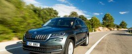 Skoda Kodiaq: Gut gebrüllt, Bär! © spothits/Skoda