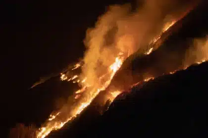 Großflächiger Waldbrand an der Küste mit Flammen und Rauchwolken über Kiefernwald