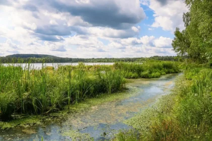 Ufer eines Sees mit grünlich-blauen Algenflächen und schemenhaften Personen am Rand